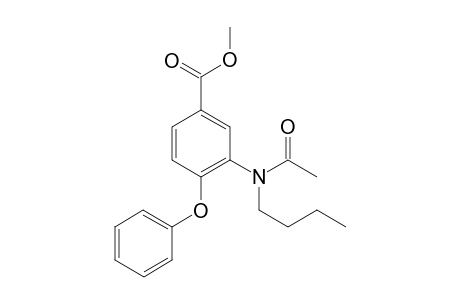 Bumetanide -SO2NH MEAC