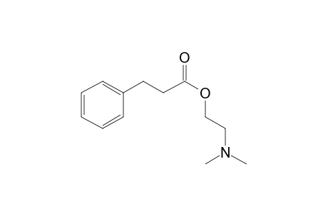 3-Phenylpropionic acid, 2-dimethylaminoethyl ester