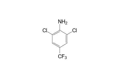 2,6-Dichloro-4-(trifluoromethyl)aniline