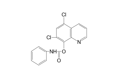 5,7-dichloro-8-quinolinol, carbanilate (ester)
