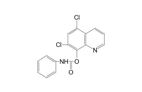 5,7-Dichloro-8-quinolinol, carbanilate (ester)