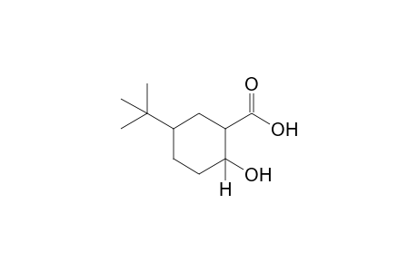 5-Tert-butyl-2-hydroxycyclohexanecarboxylic acid