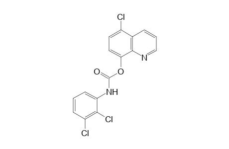 5-chloro-8-quinolinol, 2,3-dichlorocarbanilate (ester)