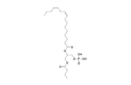 PA 4:0_16:2