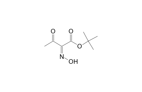 (Z)-2-Hydroxyimino-3-oxobutyric acid, 1,1-dimethylethyl ester