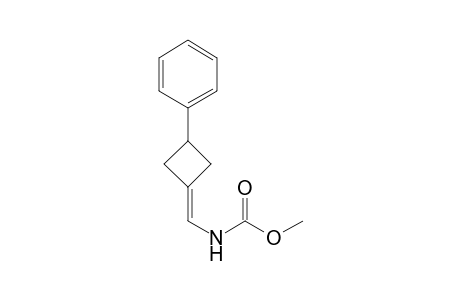 3-Phenyl-1-(N-methoxycarbonylamino)methylenecyclobutane