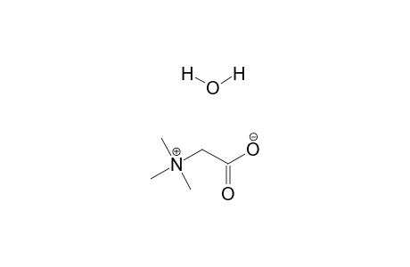 Betaine monohydrate