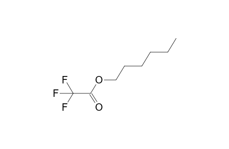 trifluoroacetic acid, hexyl ester