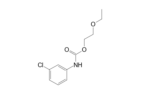 m-chlorocarbanilic acid, 2-ethoxyethyl ester