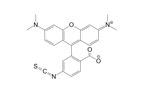 Tetramethylrhodamine-5-(and-6)-isothiocyanate