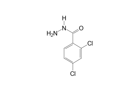 2,4-Dichlorobenzoic acid hydrazide