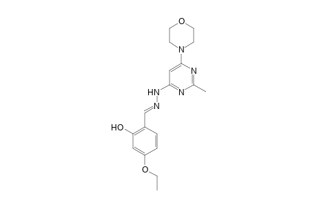 4-(4-Ethoxy-2-hydroxybenzylidenehydrazino)-2-methyl-6-morpholinopyrimidine