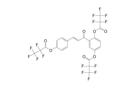 4,2',5'-Trihydroxychalcone, tris(pentafluoropropionate)