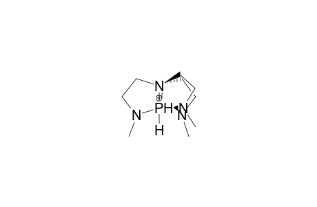 N,N',N-TRIMETHYL-TBP-TRIAZAPHOSPHATRANIUM CATION