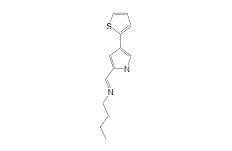 N-{(E)-[4-(2-THIENYL)-1H-PYRROL-2-YL]-METHYLIDENE}-1-BUTANAMINE