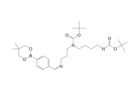 #8C;TERT.-BUTYL-N-[3-[[[4-(5,5-DIMETHYL-[1,3,2]-DIOXABORINAN-2-YL)-PHENYL]-METHYLIDENE]-AMINO]-PROPYL]-N-[4-[[(TERT.-BUTYLOXY)-CARBONYL]-AMINO]-BUTYL]-CARBAMAT