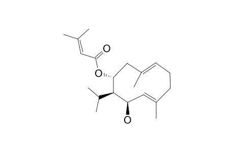 8-O-SENECIOYLTOVAROL