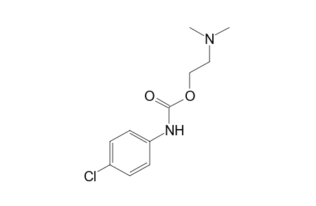 p-chlorocarbanilic acid, 2-(dimethylamino)ethyl ester