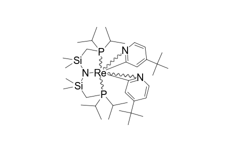 [PNP(I-PR)]-RE-[(4-TERT.-BUTYL-2-PYRIDYL)-(2)];MAJOR-ISOMER