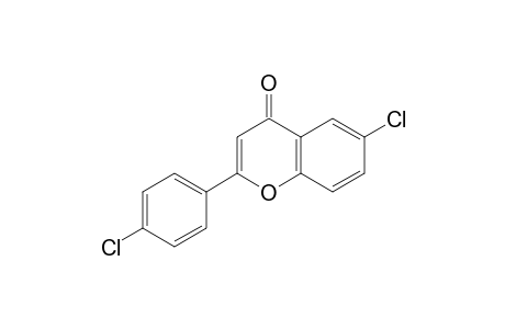 6,4'-Dichloroflavone