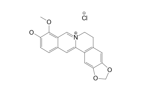 THALIFENDINE_CHLORIDE