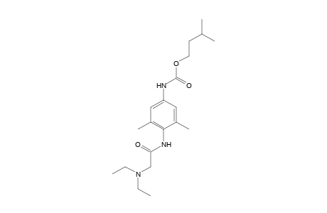 4-[2-(diethylamino)acetamido]-3,5-dimethylcarbanilic acid, isopentyl ester