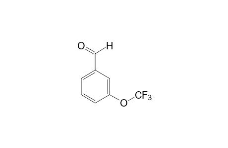 3-(Trifluoromethoxy)benzaldehyde