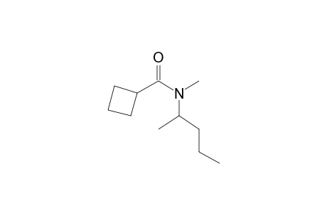 Cyclobutanecarboxamide, N-(2-pentyl)-N-methyl-