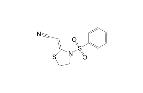 (Phenylsulfonyl-thiazolidin-2-ylidene)acetonitrile