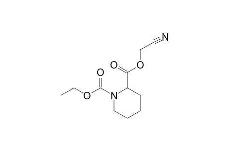 (+/-)-CYANOMETHYL-[(N-ETHOXYCARBONYL)-PIPERIDINE]-2-CARBOXYLATE