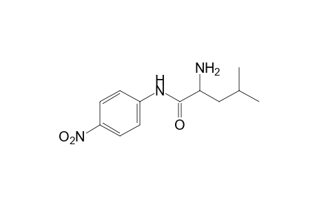 2-amino-4-methyl-4'-nitrovaleranilide