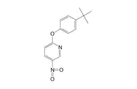 2-(p-tert-BUTYLPHENOXY)-5-NITROPYRIDINE