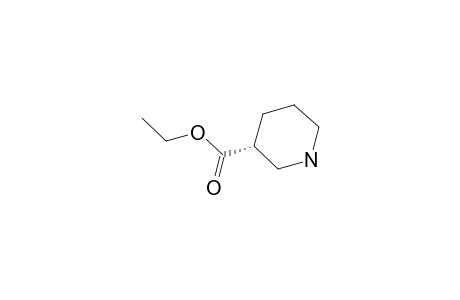 (R)-(-)-Ethyl nipecotate