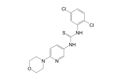 1-(2,5-dichlorophenyl)-3-(6-morpholino-3-pyridyl)-2-thiourea