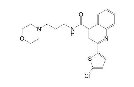 4-quinolinecarboxamide, 2-(5-chloro-2-thienyl)-N-[3-(4-morpholinyl)propyl]-