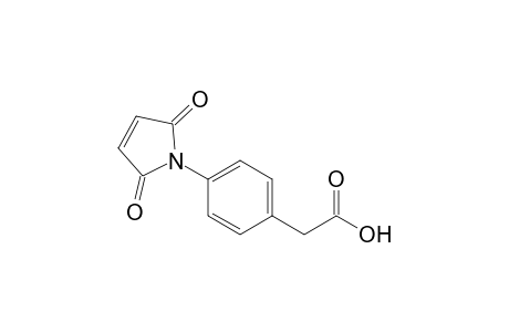 2-(4-maleimidophenyl)acetic acid