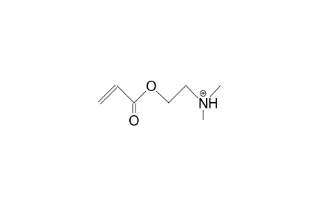 Acrylic acid, 2-dimethylammonio-ethyl ester cation