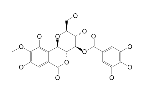 4-O-GALLOYLBERGENIN