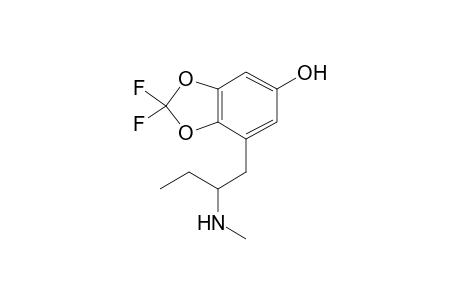 DFMBDB-M (HO-ring) MS2