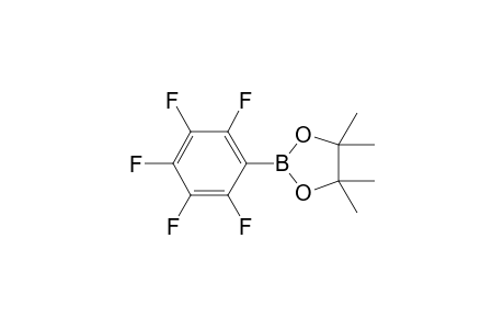 Pentafluorophenyl boronic acid pinacol ester