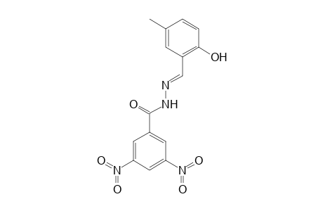 N'-[(E)-(2-Hydroxy-5-methylphenyl)methylidene]-3,5-dinitrobenzohydrazide
