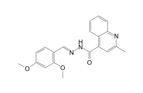 N'-[(E)-(2,4-dimethoxyphenyl)methylidene]-2-methyl-4-quinolinecarbohydrazide