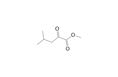 2-keto-4-methyl-valeric acid methyl ester