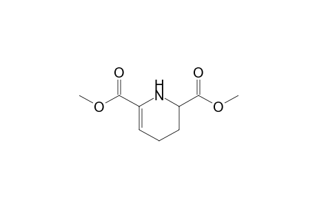 1,2,3,4-tetrahydropyridine-2,6-dicarboxylic acid dimethyl ester