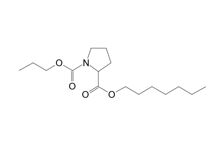 L-Proline, N-propoxycarbonyl-, heptyl ester