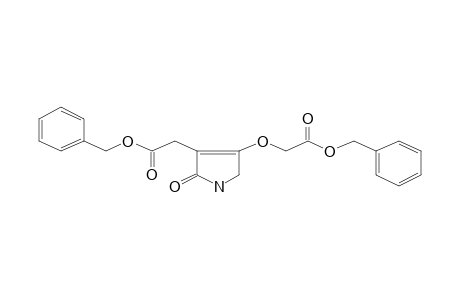 1H-Pyrrol-2(5H)-one, 4-benzyloxycarbonylmethoxy-3-benzyloxycarbonylmethyl-