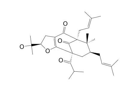 GARCINIELLIPTONE-L;9,9-DIMETHYL-6-ALPHA,8-BETA-DI-(GAMMA,GAMMA-DIMETHYLALLYL)-3,4-[2-BETA-(2'-HYDROXYISOPROPYL)-2,3-DIHYDROFURAN]-2-ALPHA-(1-OXO-2-