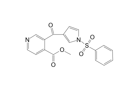 3-(1-phenylsulfonylpyrrole-3-carbonyl)isonicotinic acid methyl ester