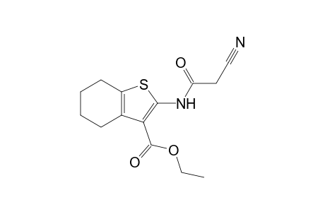 2-(2-cyano-acetylamino)-4,5,6,7-tetrahydrobenzo[b]thiophene-3-carboxylic acid ethyl ester