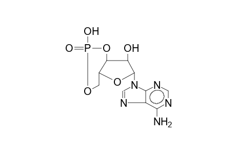 cyclic AMP